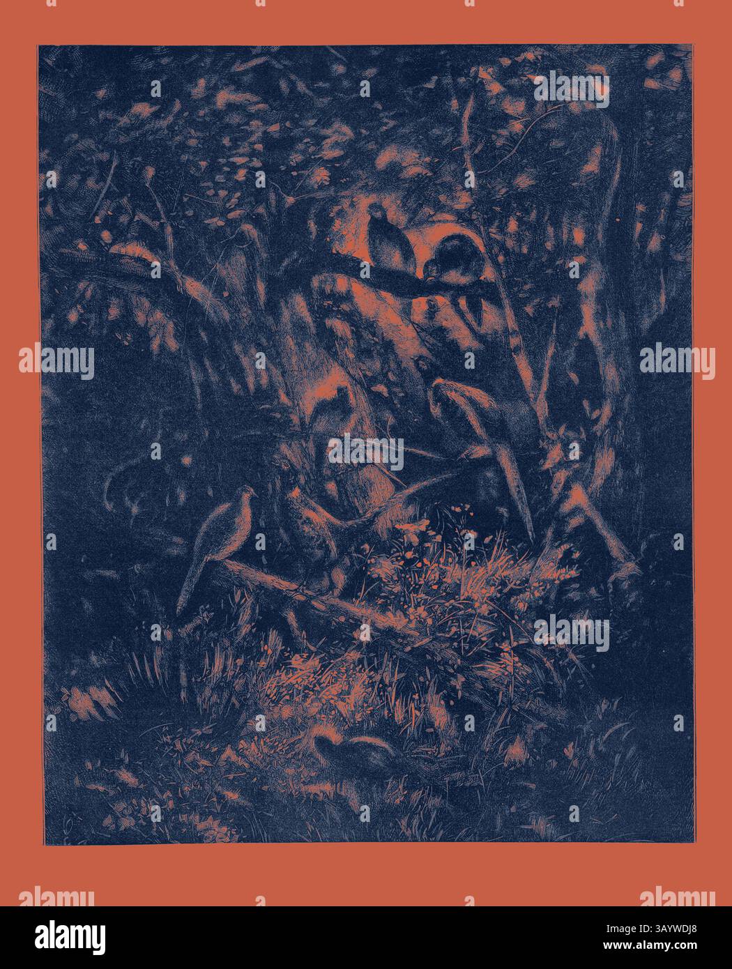 Un paesaggio lussureggiante e ombroso pullula di uccelli vivaci arroccati tra i rami, le loro forme si fondono perfettamente nel fogliame circostante, creando una scena armoniosa della natura. The Pheasants' Home, incisione 1882 arte classica con un tocco moderno reinventata da Artotop Foto Stock