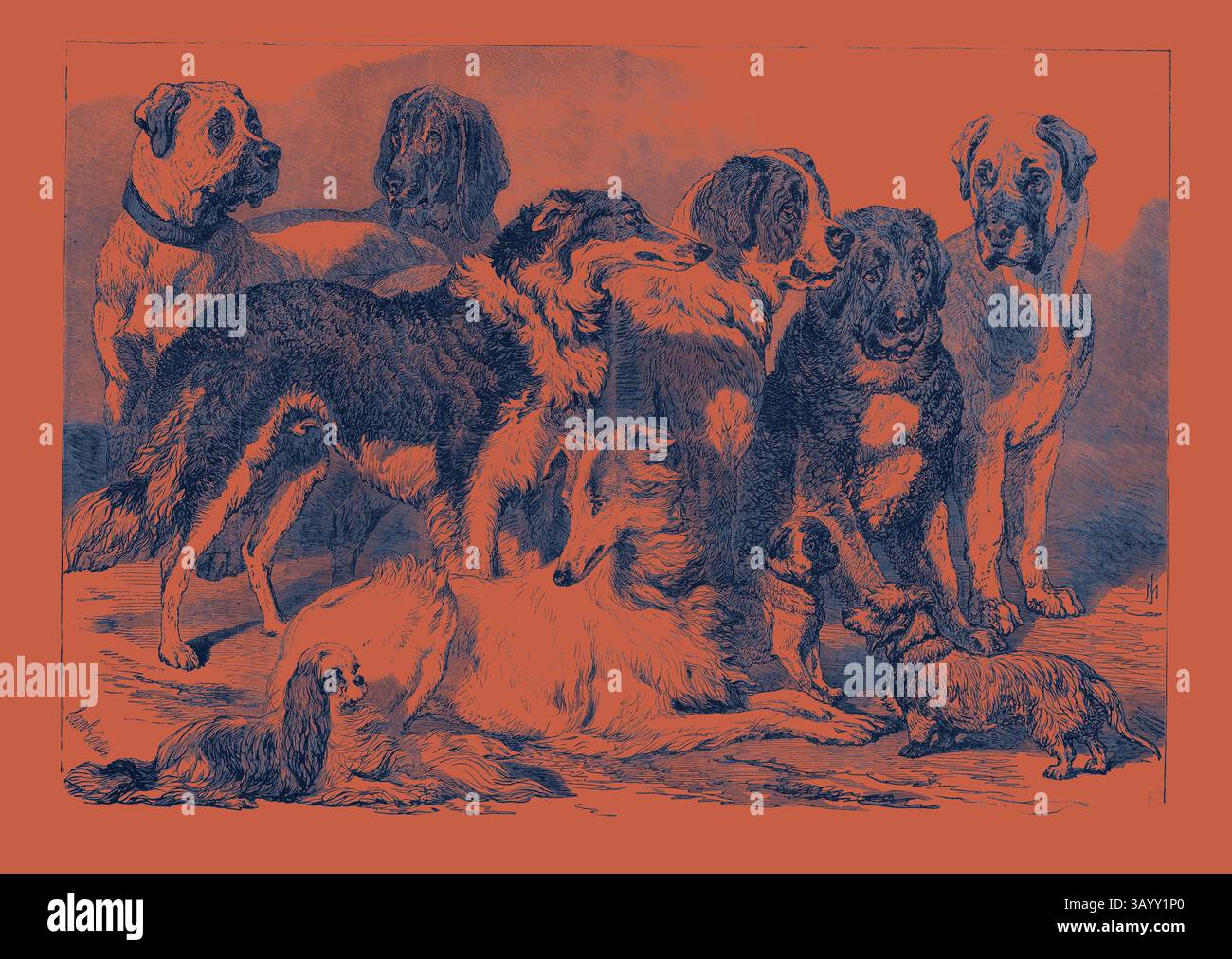 Un gruppo di diverse razze di cani si riunisce, mostrando le loro caratteristiche distintive e la natura giocosa, con uno sfondo che esalta il fascino di questi amati compagni. Prize Dogs al National Dog Show di Islington Londra Regno Unito 1869 Arte classica con un tocco moderno reinventata da Artotop Foto Stock