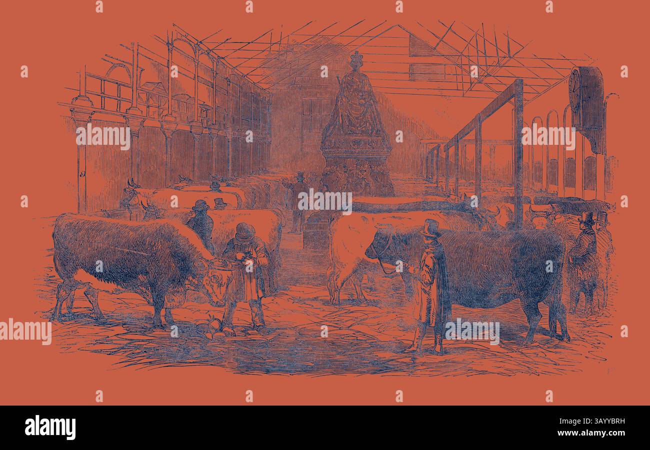 Un'affollata esposizione di bestiame con gli agricoltori che tendono alle mucche in una grande sala, con una statua di rilievo sullo sfondo. L'ambiente trasmette un'atmosfera storica di fiere agricole. Lo Smithfield Club Cattle Show-Yard Classic art con un tocco moderno reinventato da Artotop Foto Stock