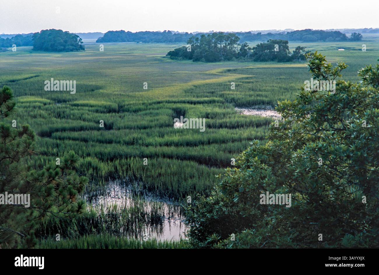 Una palude salina del South Carolina con la bassa marea è immersa nella luce nebulosa della sera. Foto Stock