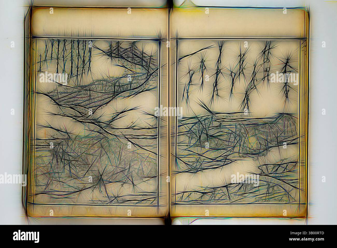 Una rappresentazione stilizzata di un libro aperto che mostra disegni di linee intricati, con paesaggi astratti con pattern fluenti e dettagli testurizzati. Il design enfatizza una miscela di elementi naturali e interpretazioni artistiche. Arte classica con un tocco moderno reinventata da Artotop Foto Stock