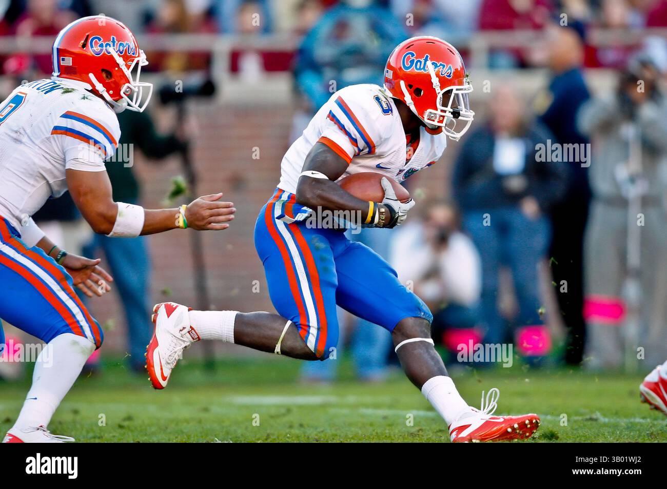 27 novembre 2010: Il wide receiver dei Florida Gators Chris Rainey (3) corre per la yardage durante il primo tempo tra l'ACC Conference Florida State Seminoles e la SEC Conference University of Florida Gators al Doak Campbell Stadium di Tallahassee, Florida. (Immagine di credito: © Gray Quetti/Cal Sport Media/ZUMAPRESS.com) Foto Stock
