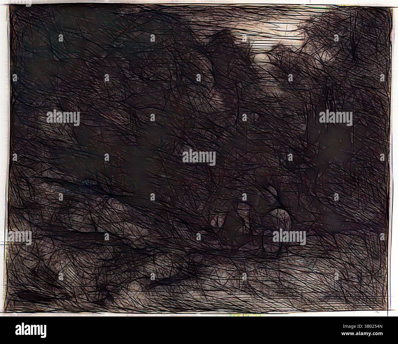 Un paesaggio denso e strutturato con linee scure e intrecciate che suggeriscono una foresta o un'area boscosa, avvolto in un'aria di mistero e profondità. Arte classica con un tocco moderno reinventata da Artotop Foto Stock