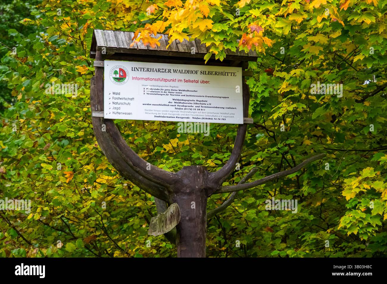 Unterharzer Waldhof Informationspunkt im Selketal Foto Stock