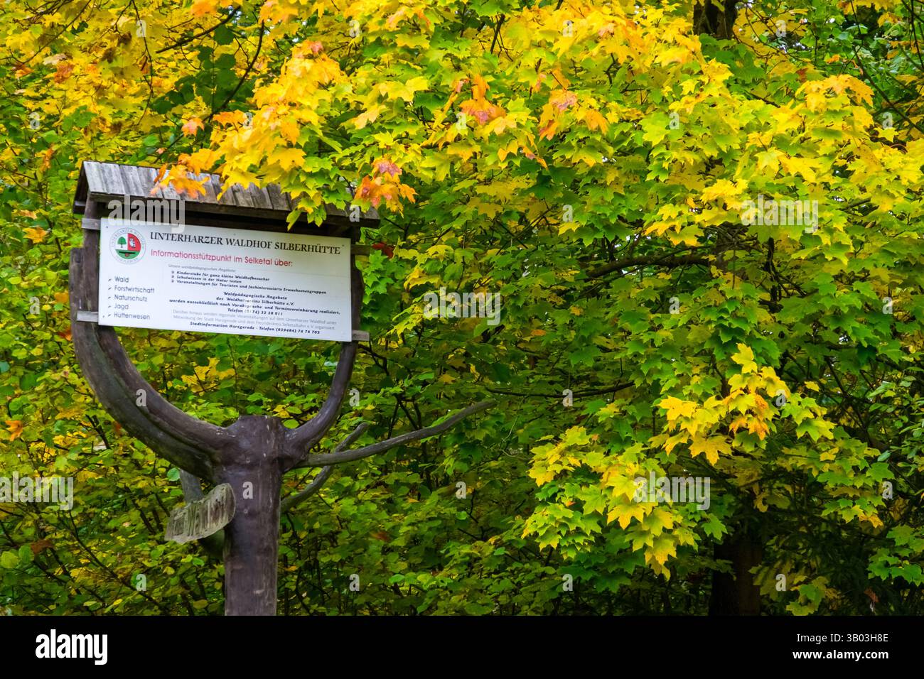 Unterharzer Waldhof Informationspunkt im Selketal Foto Stock