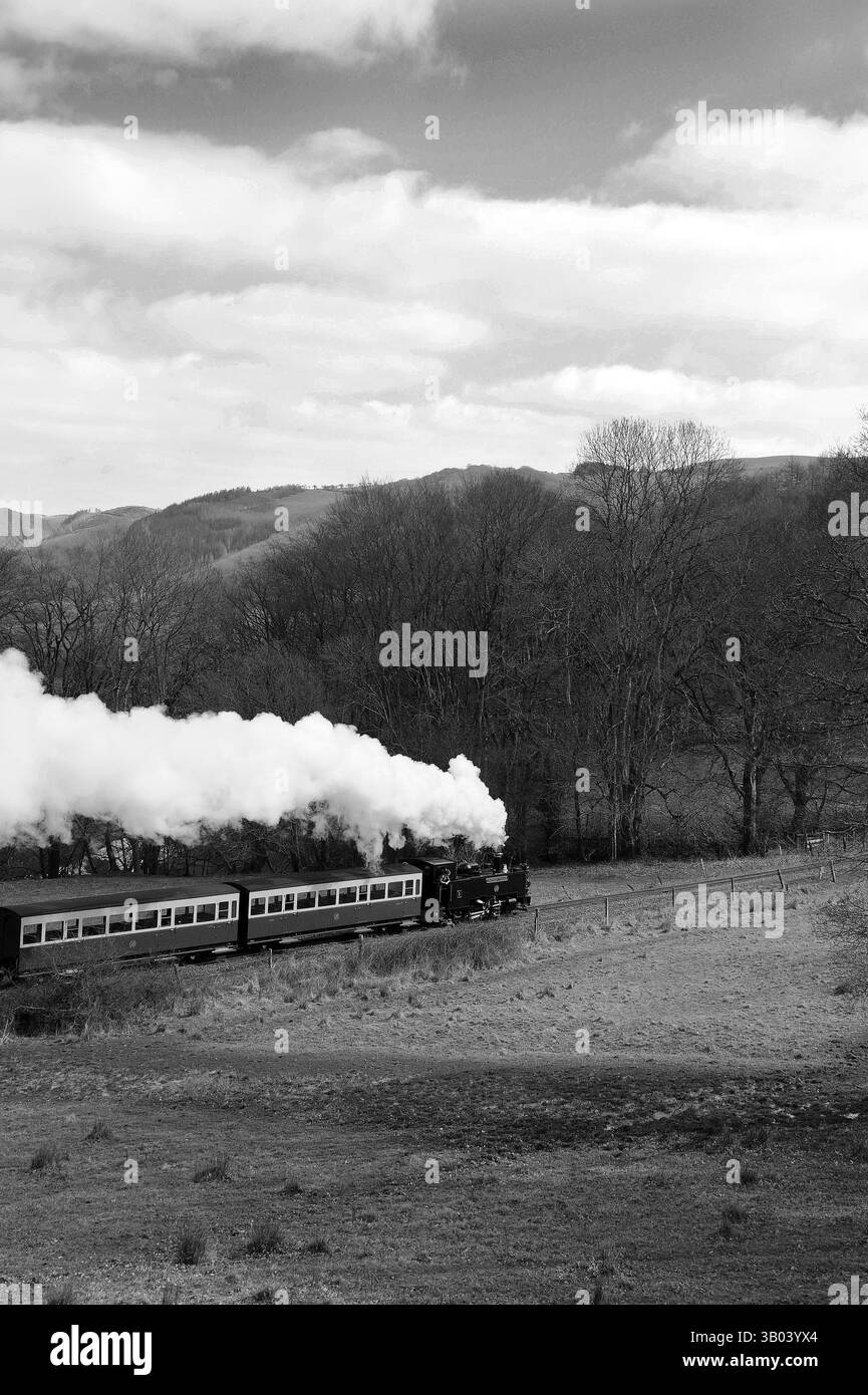 "Prince of Wales" a Troed-rhiw-felen tra Capel Bangor e Nantyronen con un treno misto. Foto Stock