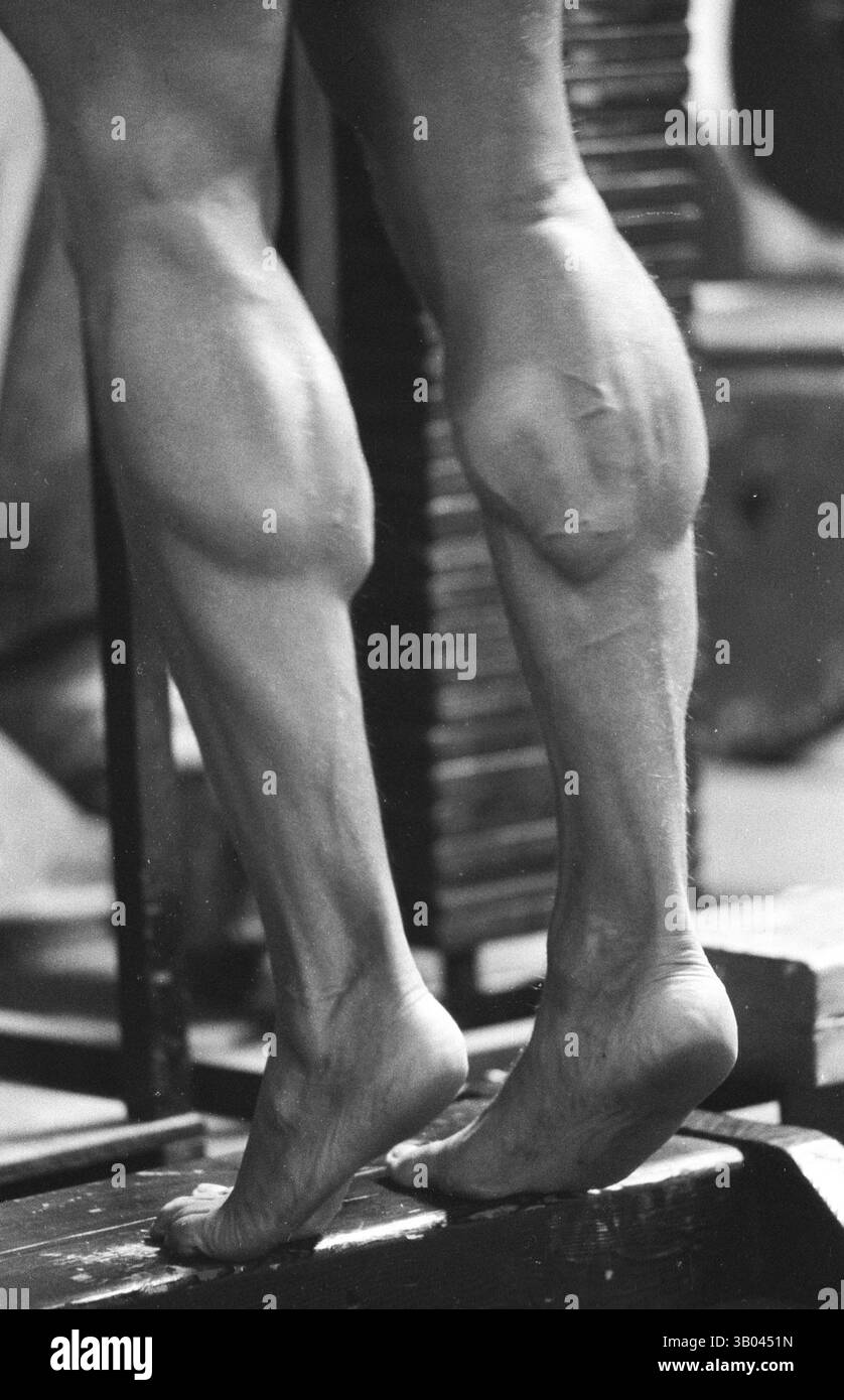 08 luglio 1979; Los Angeles, CA, Stati Uniti; il bodybuilder professionista ARNOLD SCHWARZENEGGER si occupa dei muscoli del polpaccio. Nato in un piccolo villaggio in Austria, Arnold iniziò ad allenarsi con i pesi in giovane età e presto raggiunse la vetta come campione di bodybuilding. La sua pausa nella recitazione è arrivata nel film di successo del 1982 "Conan the Barbarian". Da Conan, Arnold ha mantenuto una lunga carriera come attore. Arnold è stato attivo nella politica degli Stati Uniti a partire dai primi anni '80 e da allora è stato votato come governatore della California a causa di un controverso richiamo dell'ex governatore Gray Davis. (Immagine di credito: © Foto Stock