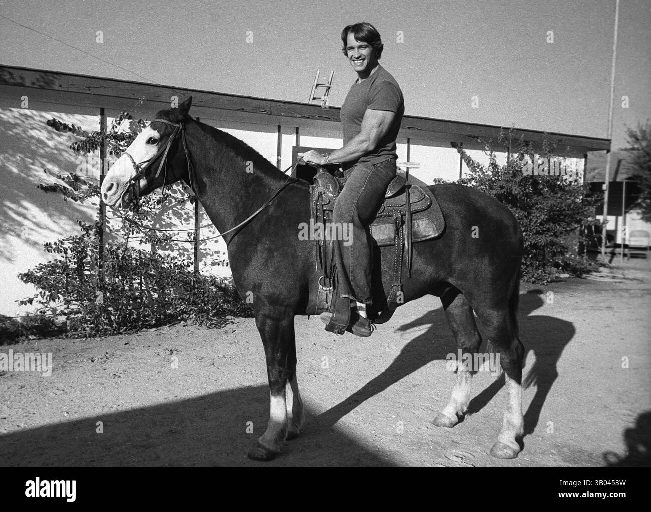 29 marzo 1979; Los Angeles, CA, Stati Uniti; ! Il bodybuilder professionista ARNOLD SCHWARZENEGGER impara a cavalcare un cavallo per il suo ruolo principale in "Conan il barbaro". Nato in un piccolo villaggio in Austria, Arnold iniziò ad allenarsi con i pesi in giovane età e presto raggiunse la vetta come campione di bodybuilding. La sua pausa nella recitazione è arrivata nel film di successo del 1982 "Conan the Barbarian". Da Conan, Arnold ha mantenuto una lunga carriera come attore. Arnold divenne anche attivo nella politica degli Stati Uniti all'inizio degli anni '80 e da allora è stato eletto governatore della California per mezzo di un controverso richiamo di Foto Stock