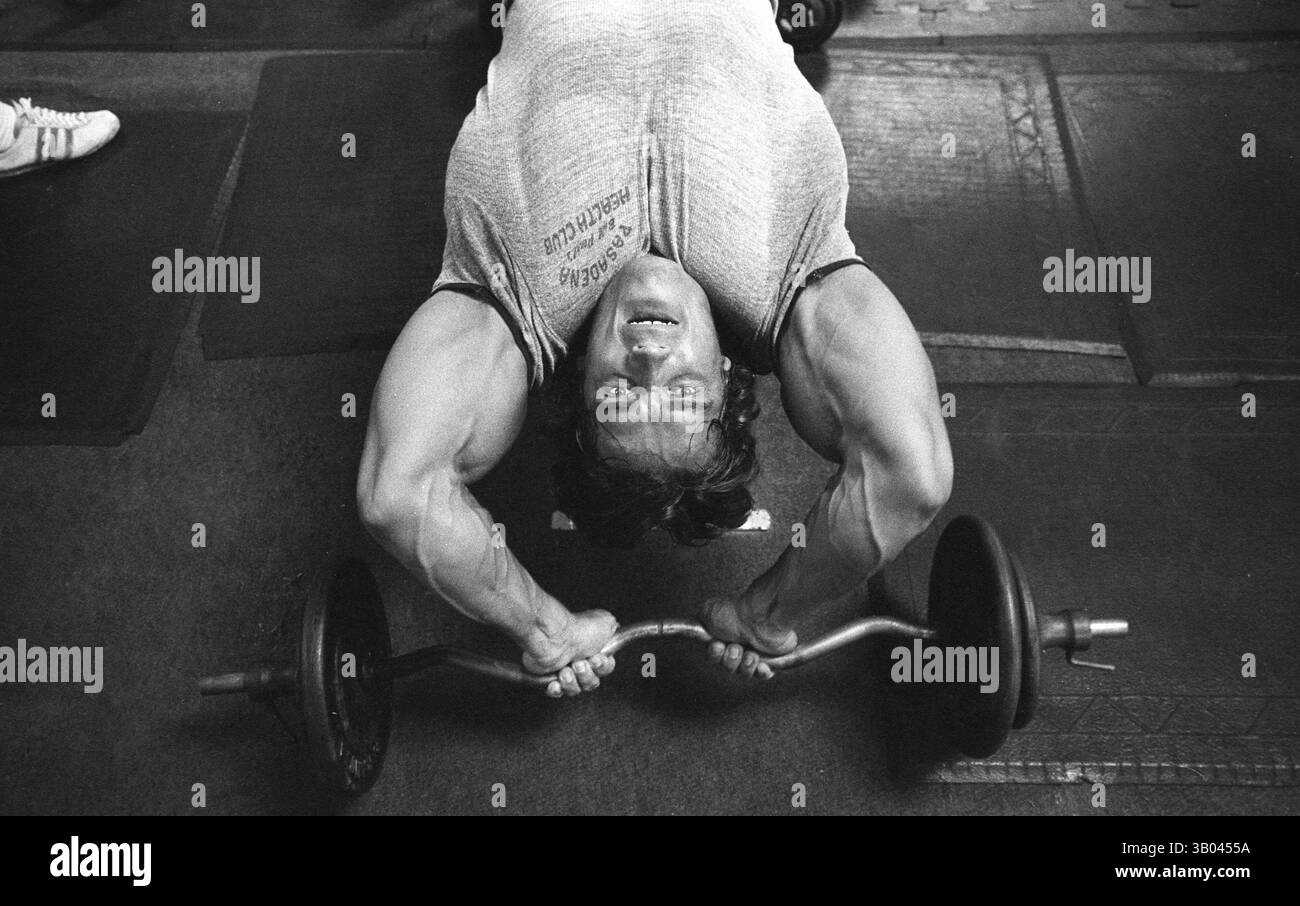 9 luglio 1979; Santa Monica, CA, Stati Uniti; il bodybuilder professionista ARNOLD SCHWARZENEGGER dimostra un esercizio di peso libero. Nato in un piccolo villaggio in Austria, Arnold iniziò ad allenarsi con i pesi in giovane età e presto raggiunse la vetta come campione di bodybuilding. La sua pausa nella recitazione è arrivata nel film di successo del 1982 "Conan the Barbarian". Da Conan, Arnold ha mantenuto una lunga carriera come attore. Arnold è stato attivo nella politica degli Stati Uniti a partire dai primi anni '80 e da allora è stato votato come governatore della California a causa di un controverso richiamo dell'ex governatore Gray Davis. (Credito Foto Stock
