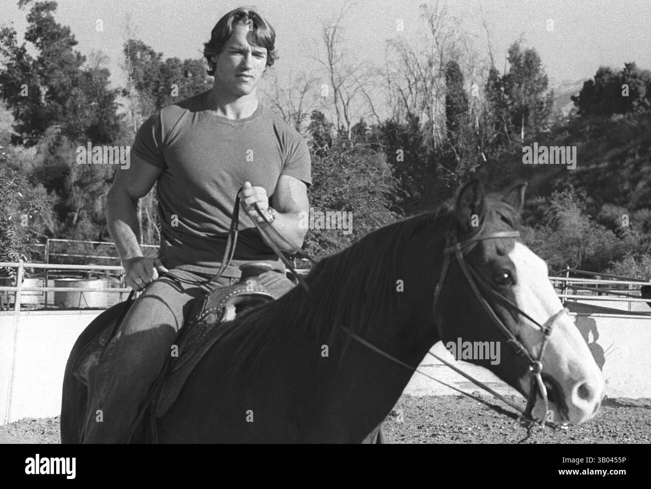 29 marzo 1979; Los Angeles, CA, Stati Uniti; ! Il bodybuilder professionista ARNOLD SCHWARZENEGGER impara a cavalcare un cavallo per il suo ruolo principale in "Conan il barbaro". Nato in un piccolo villaggio in Austria, Arnold iniziò ad allenarsi con i pesi in giovane età e presto raggiunse la vetta come campione di bodybuilding. La sua pausa nella recitazione è arrivata nel film di successo del 1982 "Conan the Barbarian". Da Conan, Arnold ha mantenuto una lunga carriera come attore. Arnold divenne anche attivo nella politica degli Stati Uniti all'inizio degli anni '80 e da allora è stato eletto governatore della California per mezzo di un controverso richiamo di Foto Stock