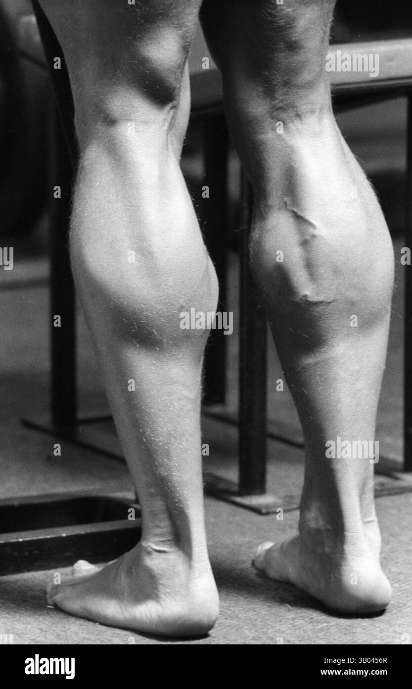 08 luglio 1979; Los Angeles, CA, Stati Uniti; il bodybuilder professionista ARNOLD SCHWARZENEGGER si occupa dei muscoli del polpaccio. Nato in un piccolo villaggio in Austria, Arnold iniziò ad allenarsi con i pesi in giovane età e presto raggiunse la vetta come campione di bodybuilding. La sua pausa nella recitazione è arrivata nel film di successo del 1982 "Conan the Barbarian". Da Conan, Arnold ha mantenuto una lunga carriera come attore. Arnold è stato attivo nella politica degli Stati Uniti a partire dai primi anni '80 e da allora è stato votato come governatore della California a causa di un controverso richiamo dell'ex governatore Gray Davis. (Immagine di credito: © Foto Stock