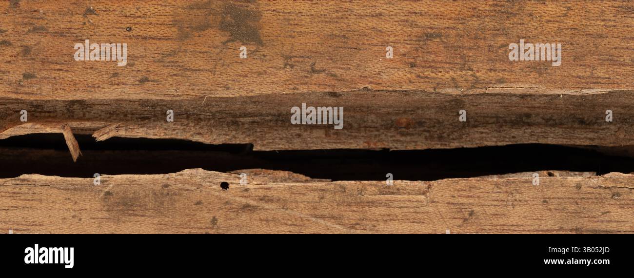 Vista ravvicinata della superficie in legno resistente agli agenti atmosferici che mostra incrinature profonde e consistenze ricche sotto un'illuminazione soffusa. Foto Stock