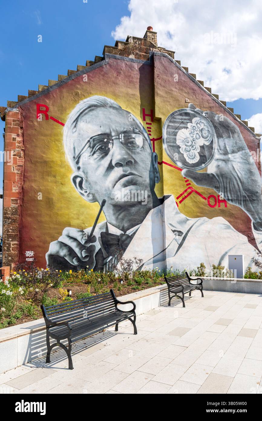 Murale di Sir Alexander Fleming su un edificio, Darvel, Ayrshire, Scozia. Sir Alexander Fleming FRS FRSE FRCS (6 agosto 1881 – 11 marzo 1955) Foto Stock
