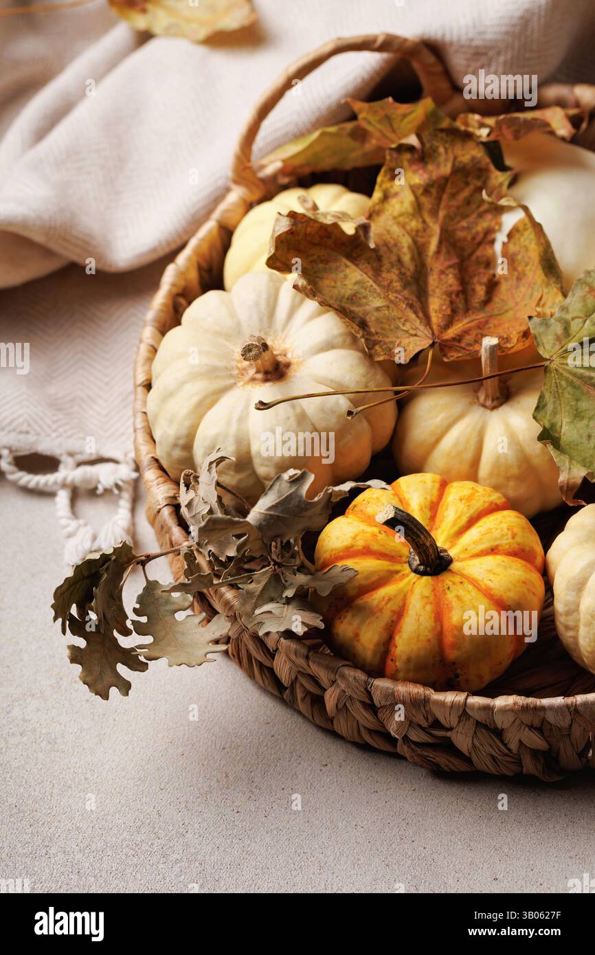 Cestello piatto con zucche e foglie asciutte Foto Stock