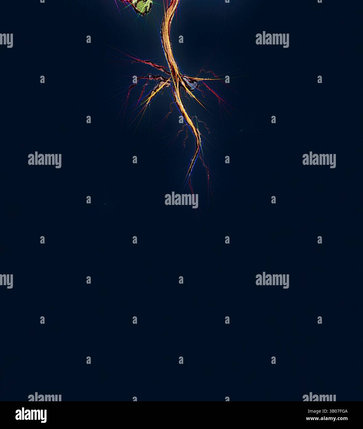 Una rappresentazione vibrante e astratta di un ramo d'albero, caratterizzata da radici complesse e intrecciate e da una singola foglia che emerge dalla fine, su uno sfondo scuro. Le linee e le trame intricate evocano un senso di crescita organica e vitalità. Un albero verde vibrante con rami e radici intricati, adagiato su uno sfondo profondo e contrastante, che simboleggia la crescita e la connessione con la terra. Arte classica con un tocco moderno reinventata da Artotop, Sedum Anglicum trasformato, Stone-Crop inglese, arte classica con un tocco moderno reinventata da Artotop Foto Stock