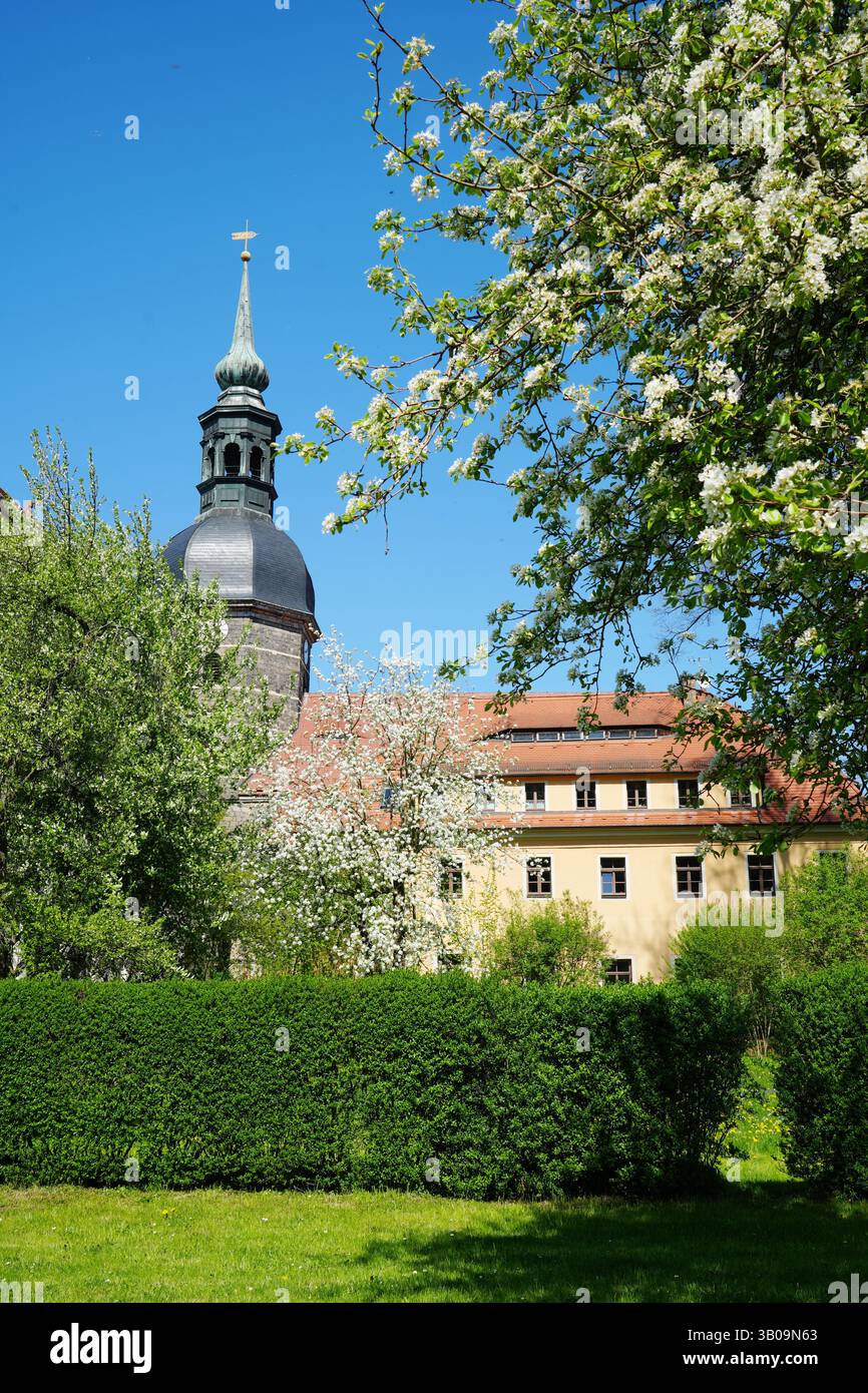 Chiesa di San Giovanni a Bad Schandau, Germania in primavera, con alberi in fiore Foto Stock