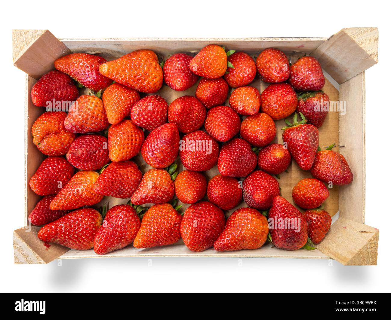 Fragole mature disposte in cassa di legno isolata su bianco con percorso di ritaglio incluso Foto Stock