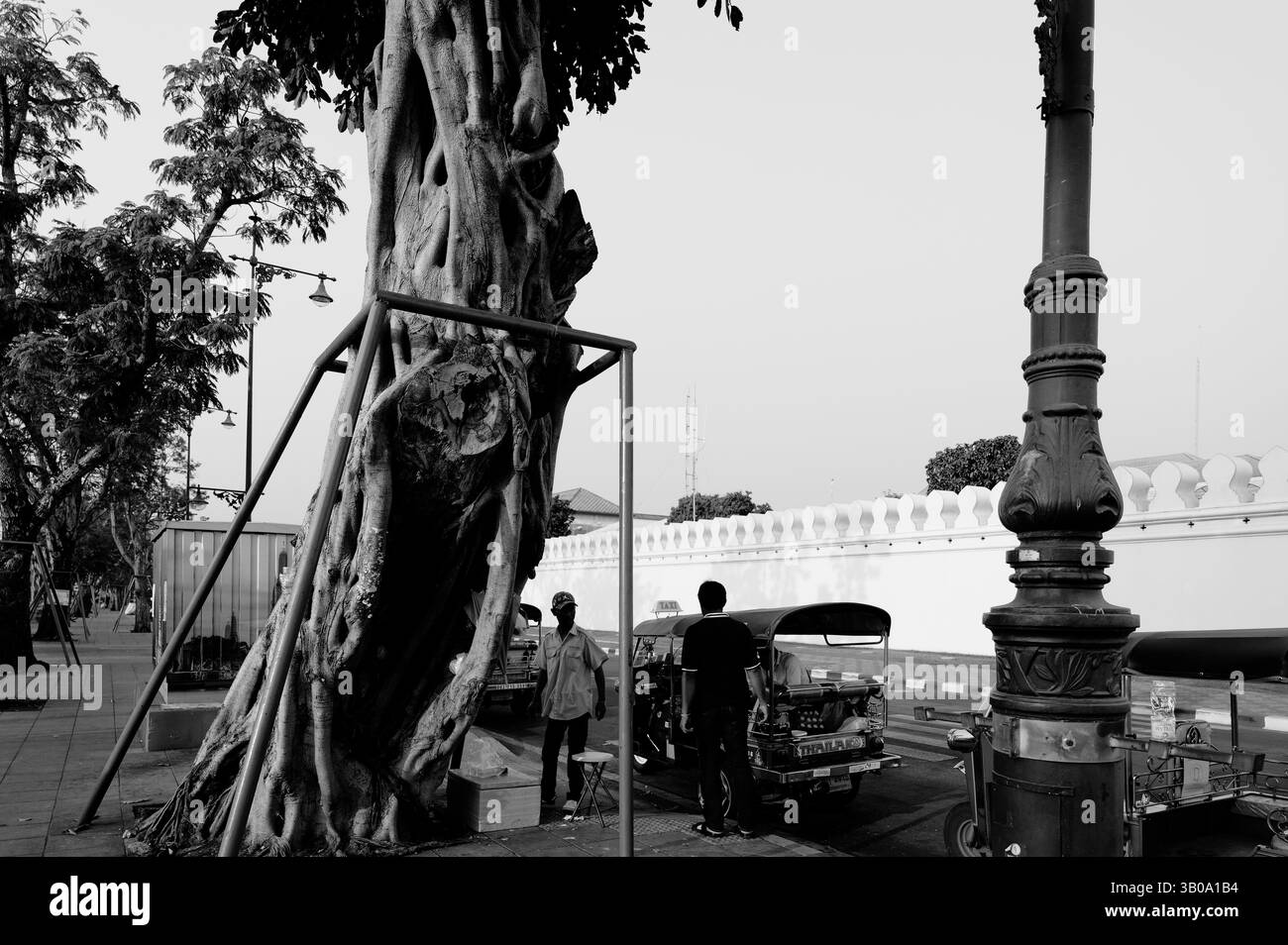 Le enormi radici di un albero si stagliano su un marciapiede, sorretto da travi in acciaio, con i conducenti di tuk-tuk al di sotto Foto Stock