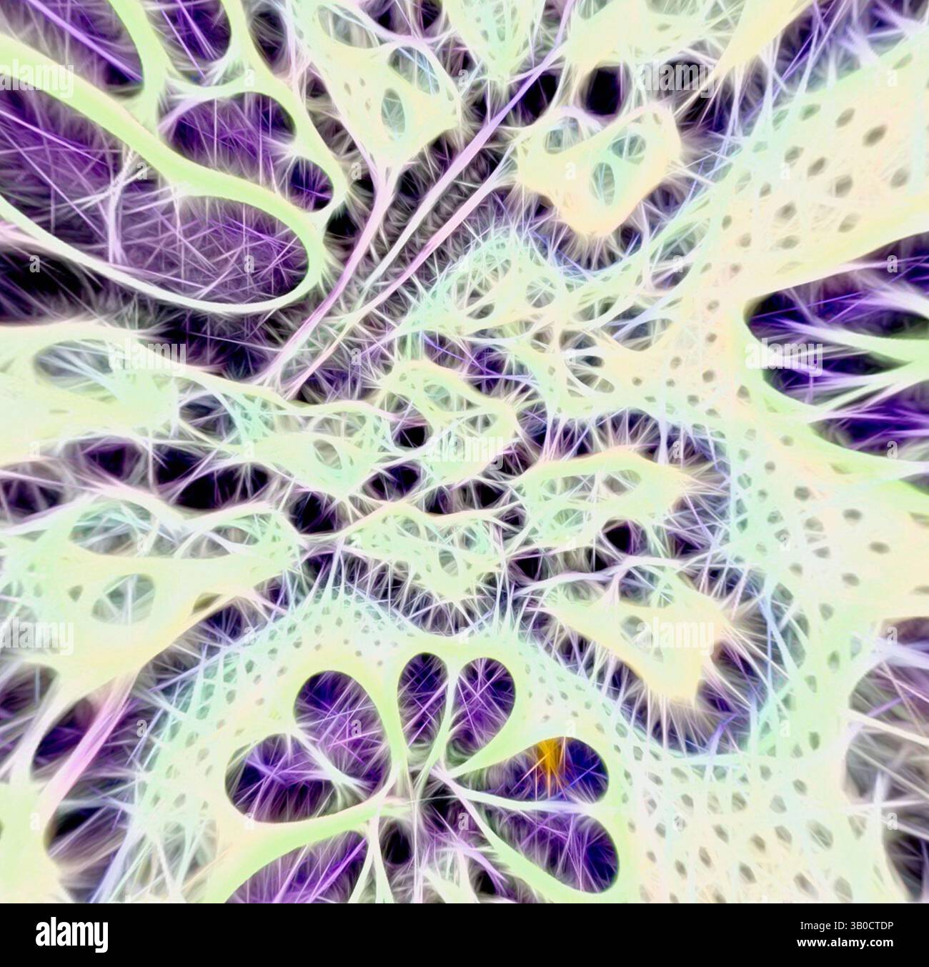 Una composizione intricata e astratta con motivi vorticosi e colori vivaci che evocano un senso di profondità e movimento, somigliante a una complessa struttura organica. Una disposizione circolare con intricate foglie viola e motivi floreali, crea un design delicato e armonioso. Arte classica con un tocco moderno reinventata da Artotop, tessuti francesi trasformati, prima metà del XIX secolo, arte classica con un tocco moderno reinventata da Artotop Foto Stock