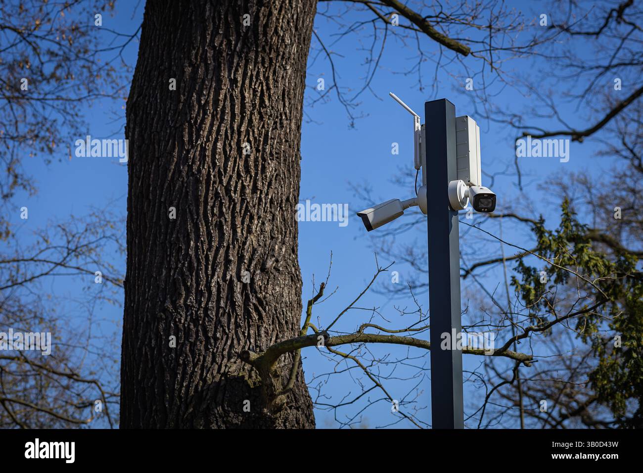 Moderne telecamere di sorveglianza installate su palo metallico vicino agli alberi della foresta nelle giornate di sole. Pubblica sicurezza e tecnologia di monitoraggio all'aperto Foto Stock
