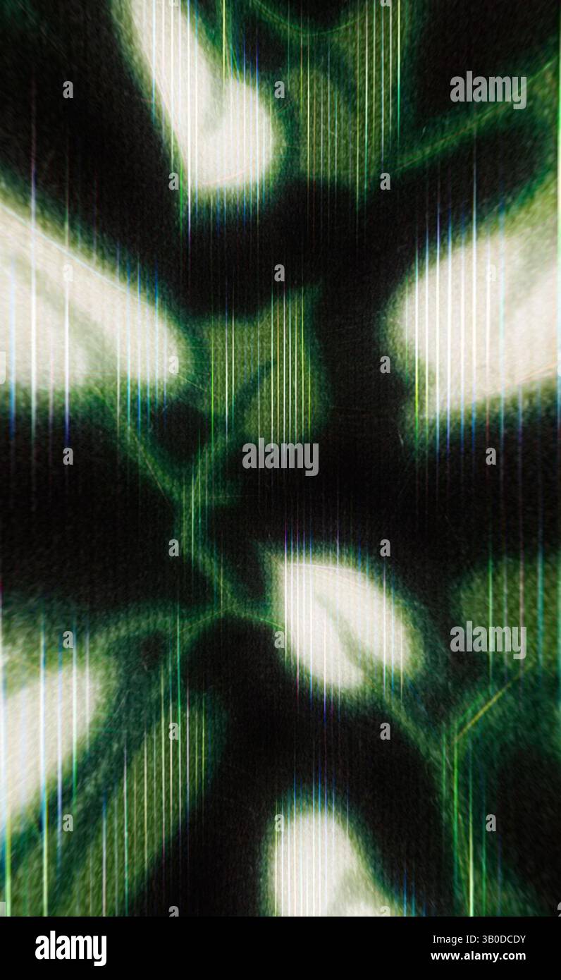 Una serie di forme astratte si intrecciano con un gioco dinamico di luci e ombre, creando un motivo ipnotico che evoca un senso di profondità e movimento. Un motivo circolare pieno di delicati fiori bianchi a forma di cuore circondati da foglie verdi rigogliose su uno sfondo scuro, creando un design botanico vibrante ed incantevole. Arte classica con un tocco moderno reinventata da Artotop, tessuti francesi trasformati, prima metà del XIX secolo, arte classica con un tocco moderno reinventata da Artotop Foto Stock