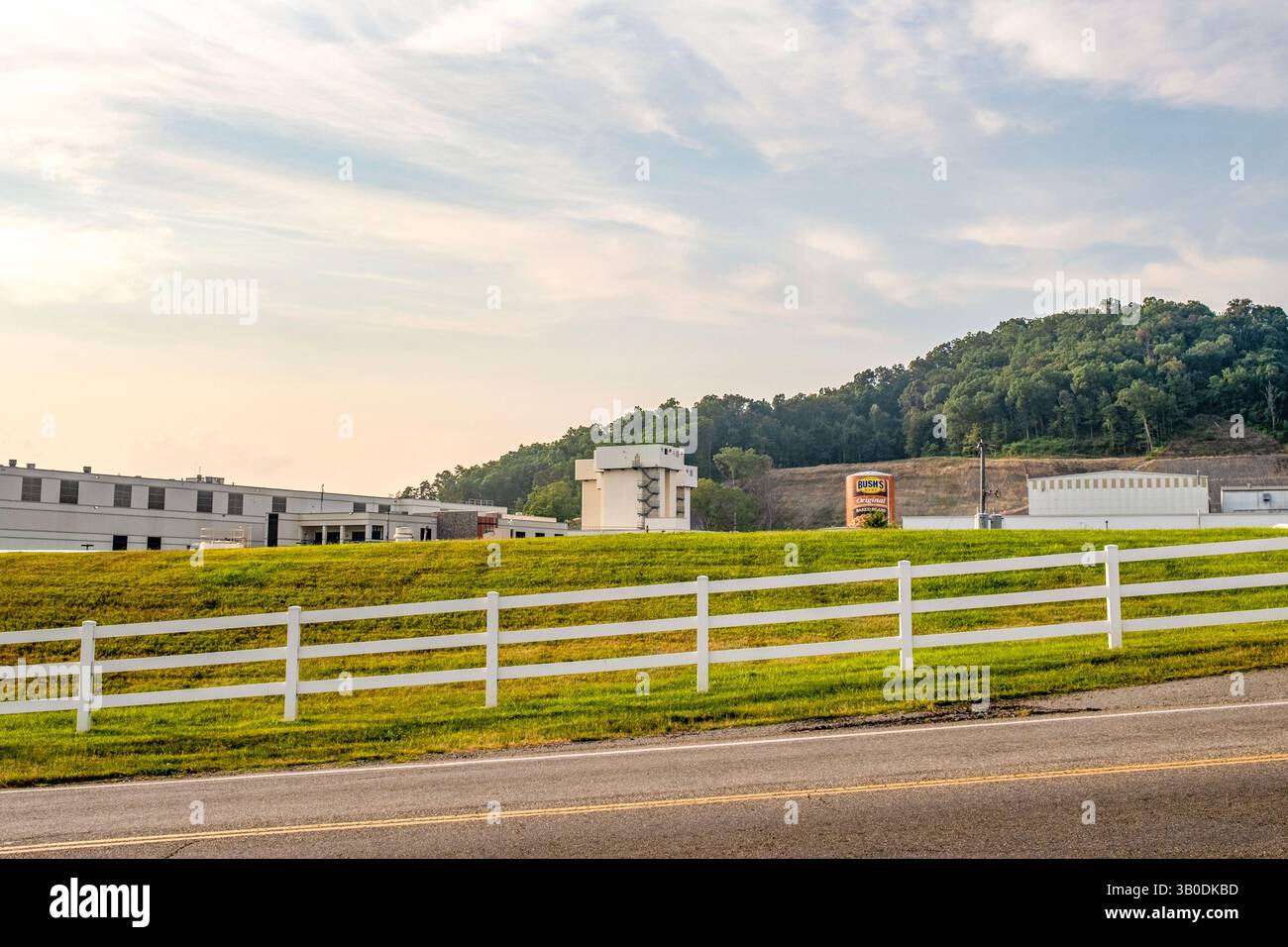 Bush's Plant a Chestnut Hill (vicino a Dandridge), Jefferson County, Tennessee Foto Stock