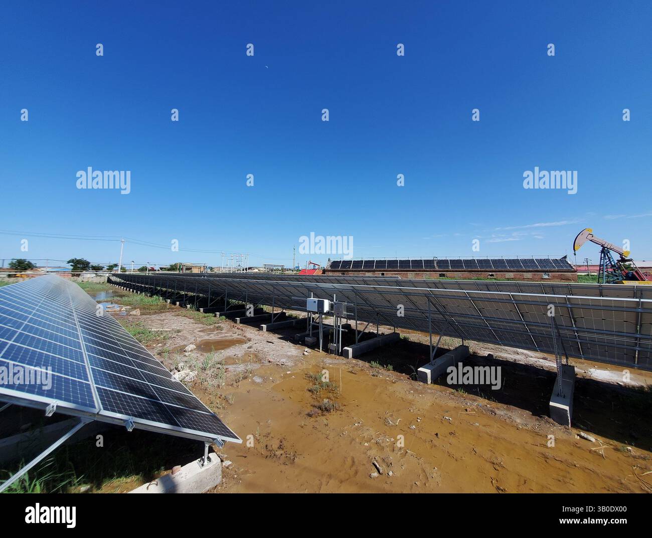 Pannelli solari montati a terra accanto alla pompa dell'olio sotto Clear Blue Sky, decarbonizzazione dei giacimenti petroliferi Sinopec attraverso l'integrazione di Solar Farm insieme alle operazioni di pompe, Dongying, Shandong, Cina Foto Stock