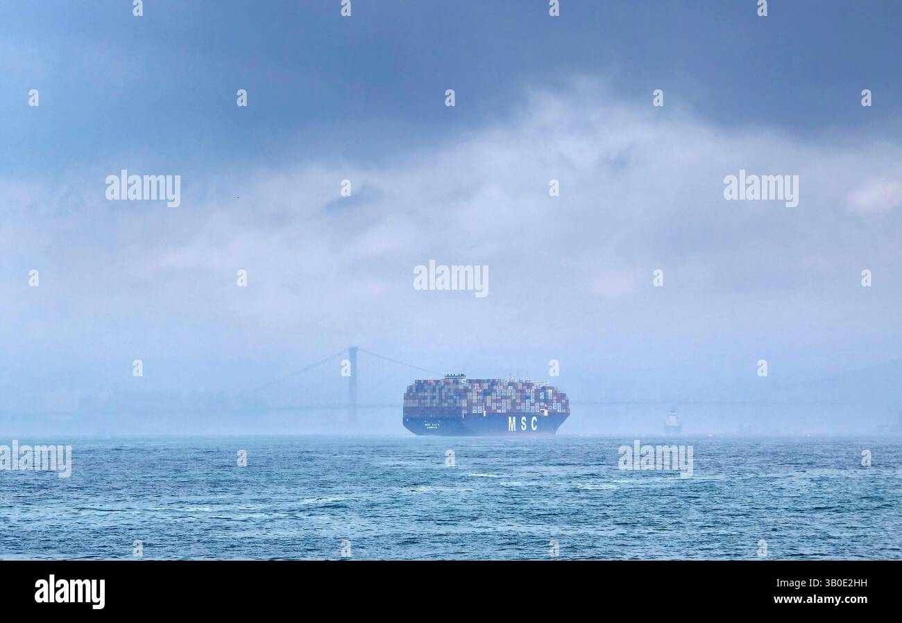 Una nave container MSC con il ponte Tsing ma in una nebbia. - Immagine stock catturata con smartphone