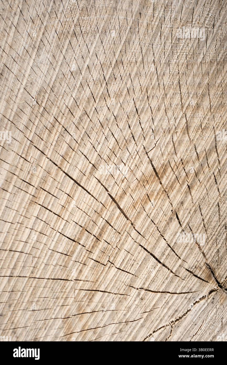 L'immagine è sfocata e difficile da identificare. Ha toni beige o marrone chiaro con linee o motivi più scuri, ma non caratteristiche distinte. Foto Stock