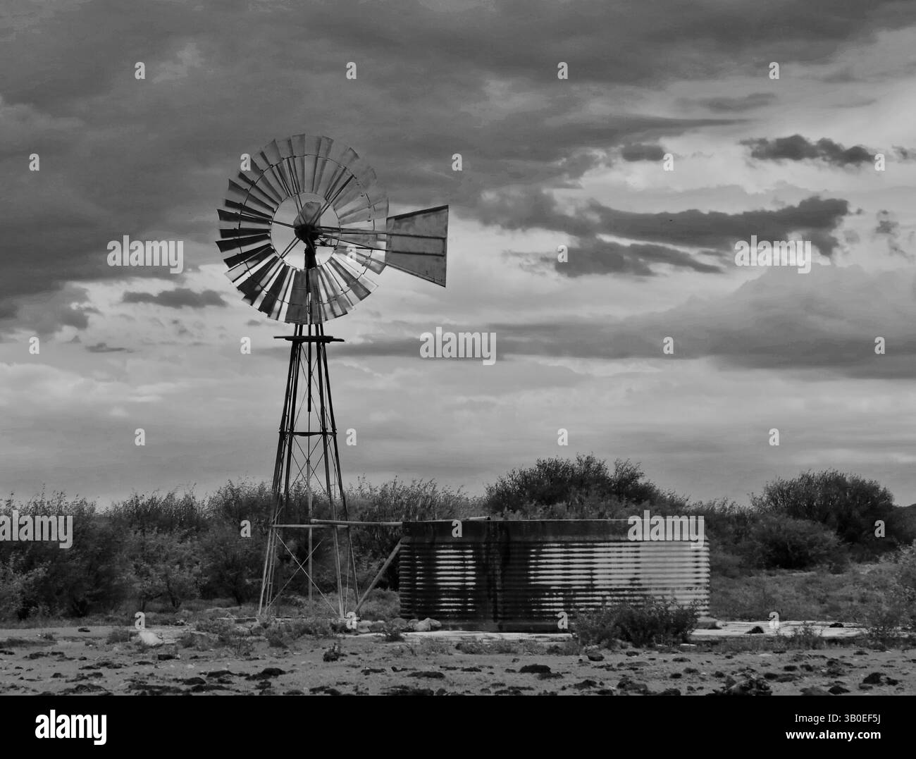 Tipico scenario agricolo in Sud Africa Foto Stock