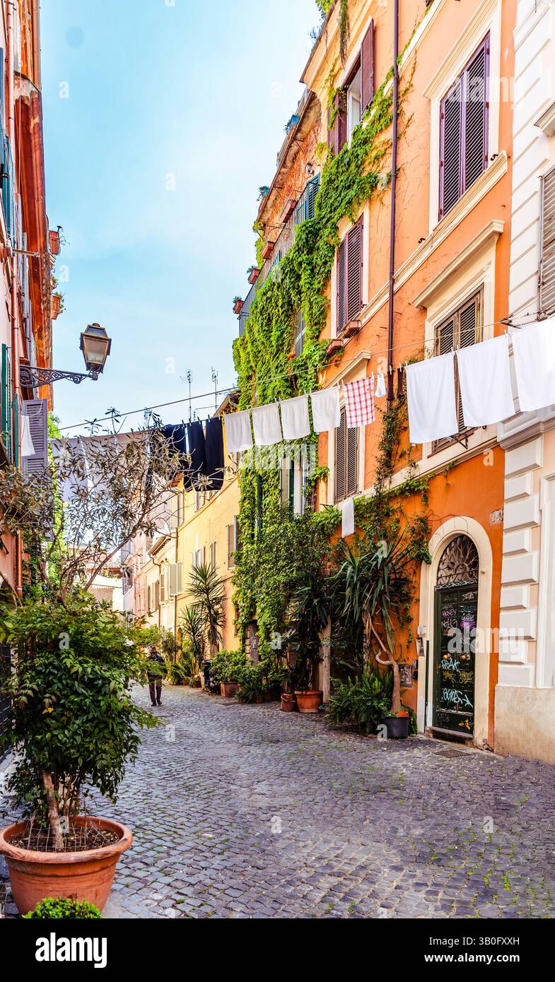 Vista pittoresca dell'area di Trastevere con edifici ricoperti di edera, case residenziali e lavanderia appesi su una linea in un affascinante vicolo di Roma, Italia Foto Stock