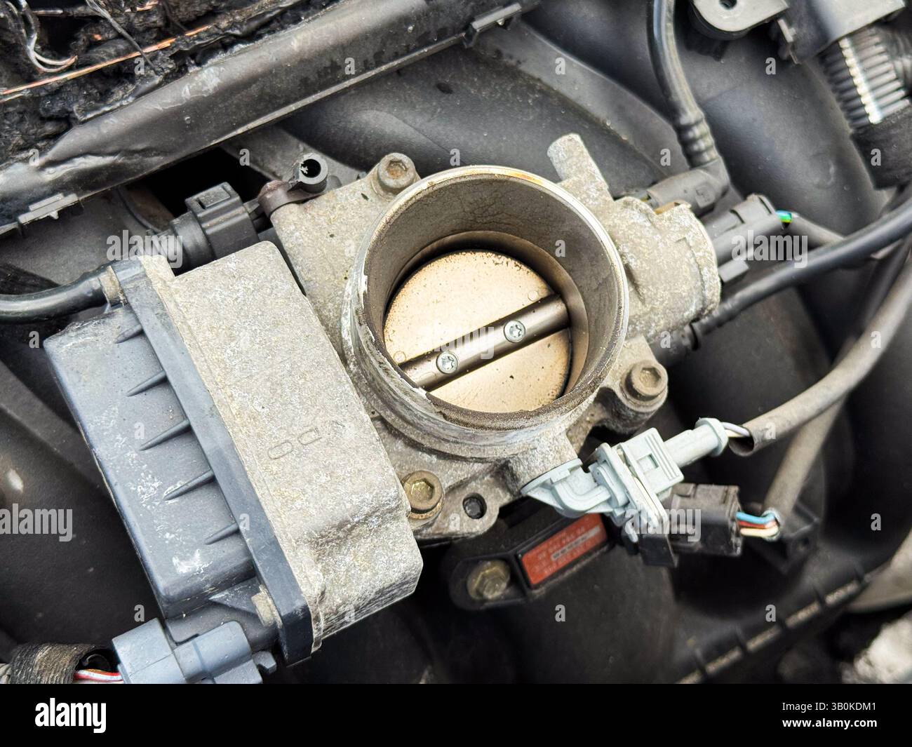 Primo piano del corpo farfallato del motore di un'auto che mostra la valvola a farfalla, l'attuatore elettronico e i connettori circostanti, parte della presa d'aria e del controbattitore Foto Stock