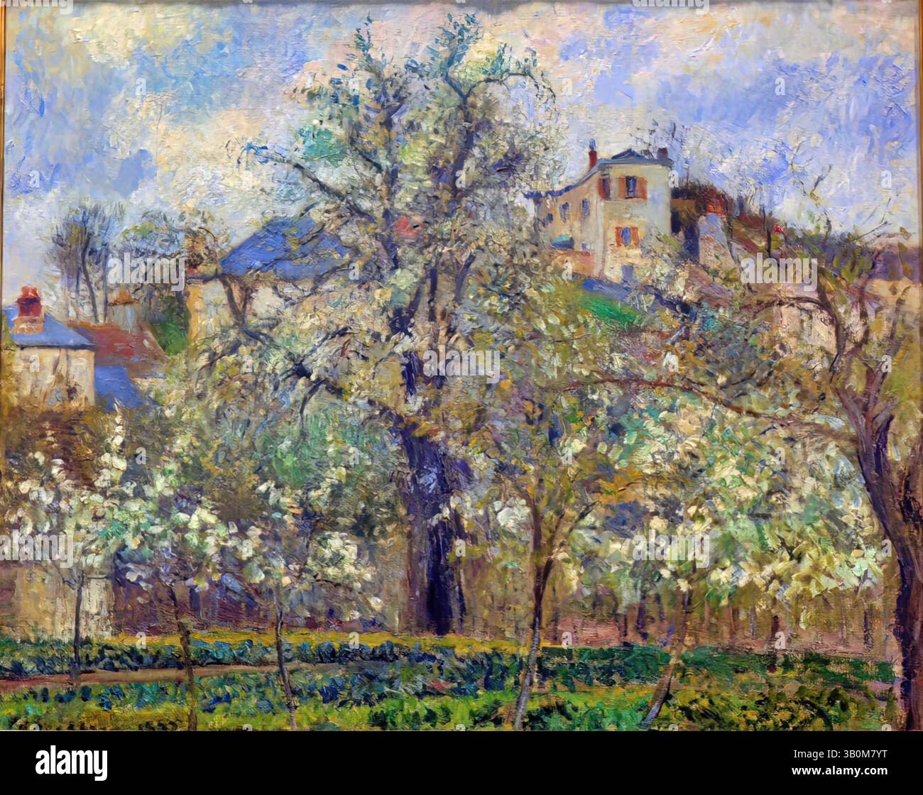 hospice il fiore di primavera