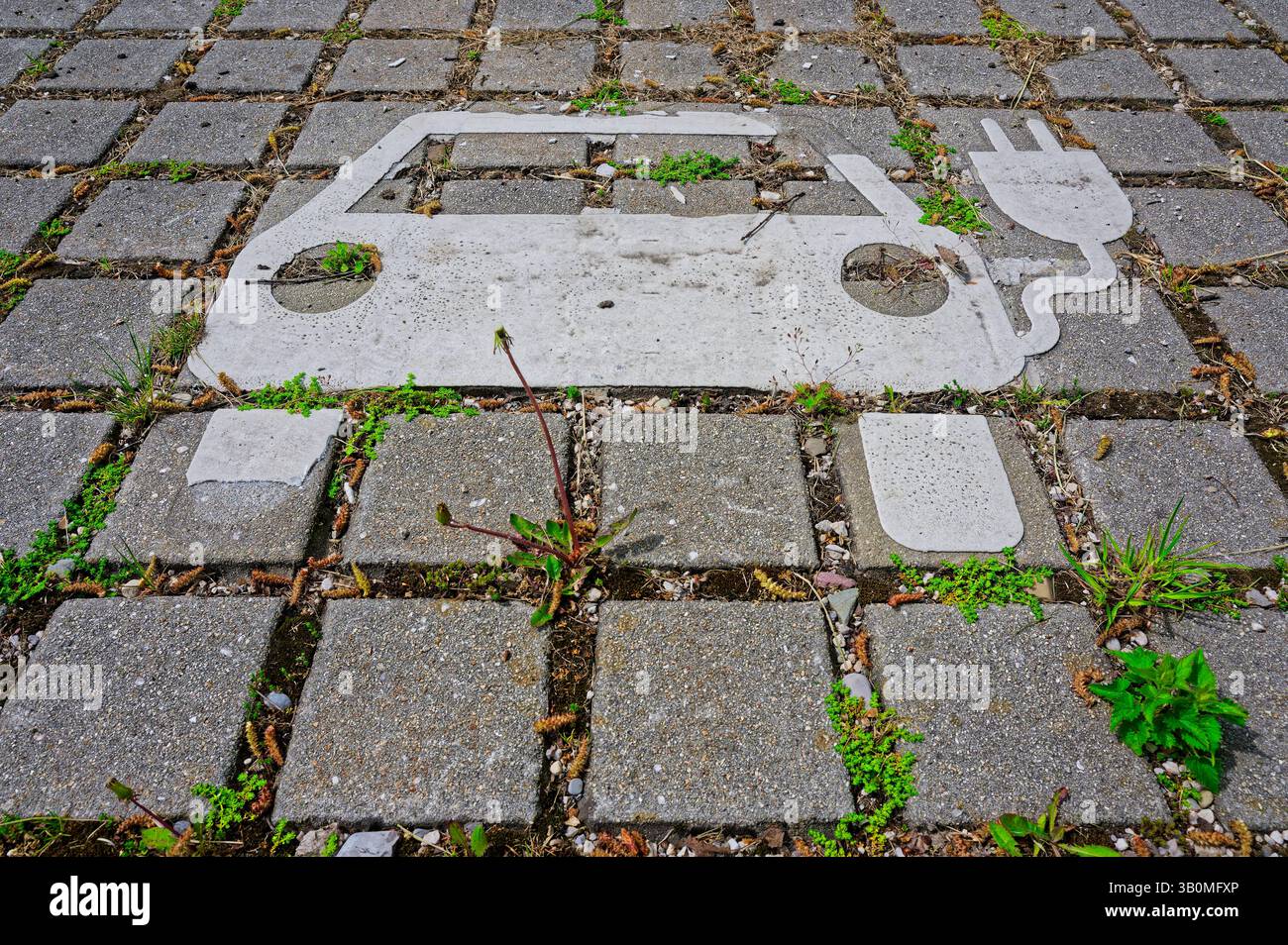 Grüne energie. Kleine Pflanzen haben ihren Platz an einem Piktogramm einer Ladestation für e-Autos gefunden. Siegsdorf Bayern Deutschland *** i piccoli impianti a energia verde hanno trovato il loro posto su un pittogramma di una stazione di ricarica per auto elettriche Siegsdorf Baviera Germania Copyright: XRolfxPossx Foto Stock