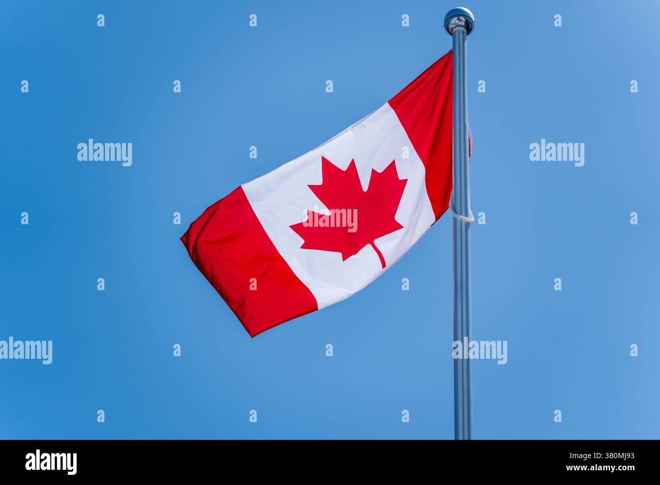 Bandiera canadese che sventola contro un cielo blu chiaro. Foto vere. Foto Stock