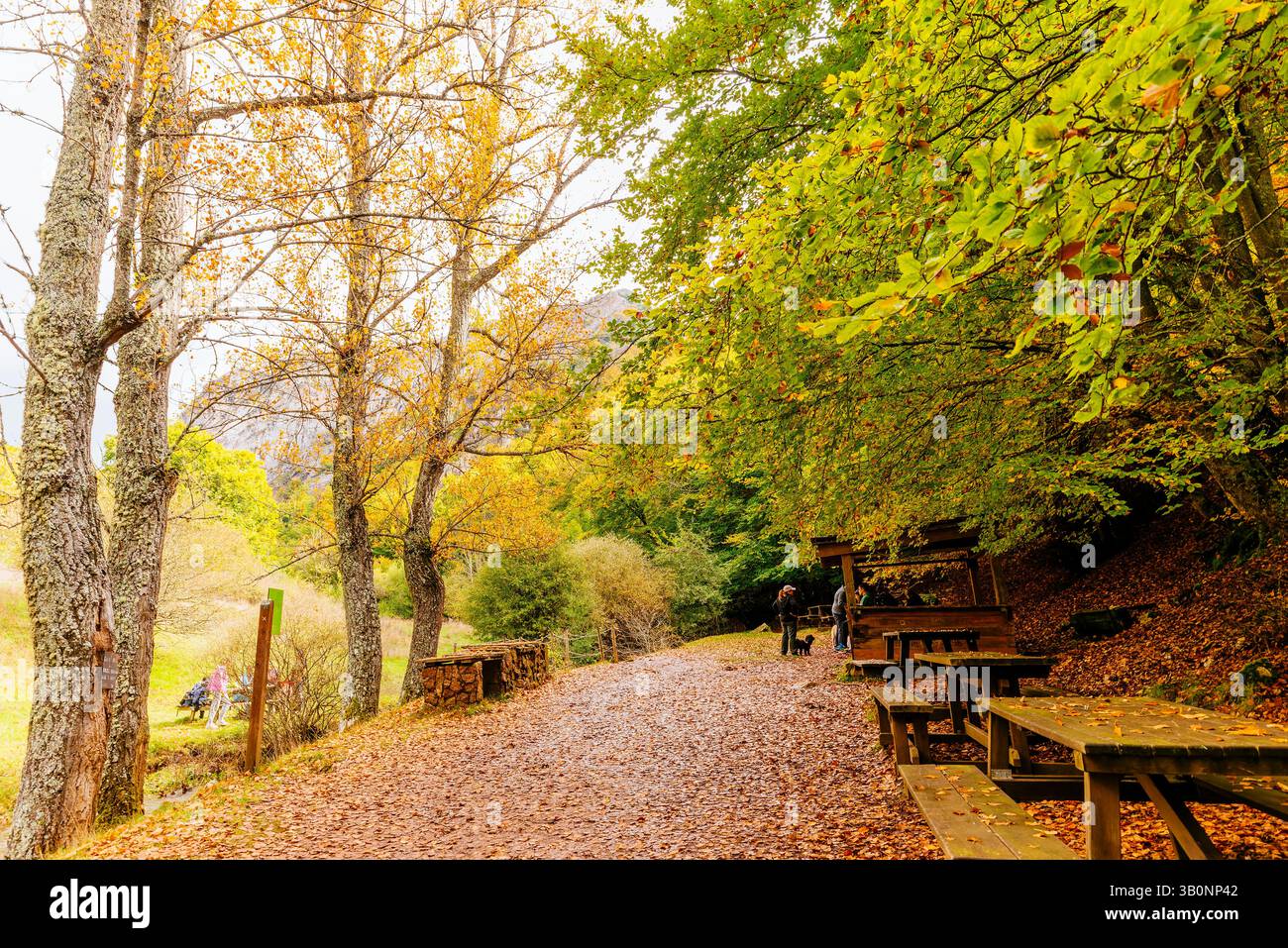 Area di riposo. Percorso Faedo de Ciñera all'inizio dell'autunno. Ciñera, la Pola de Gordón, León, Castilla y León, Spagna, Europa Foto Stock
