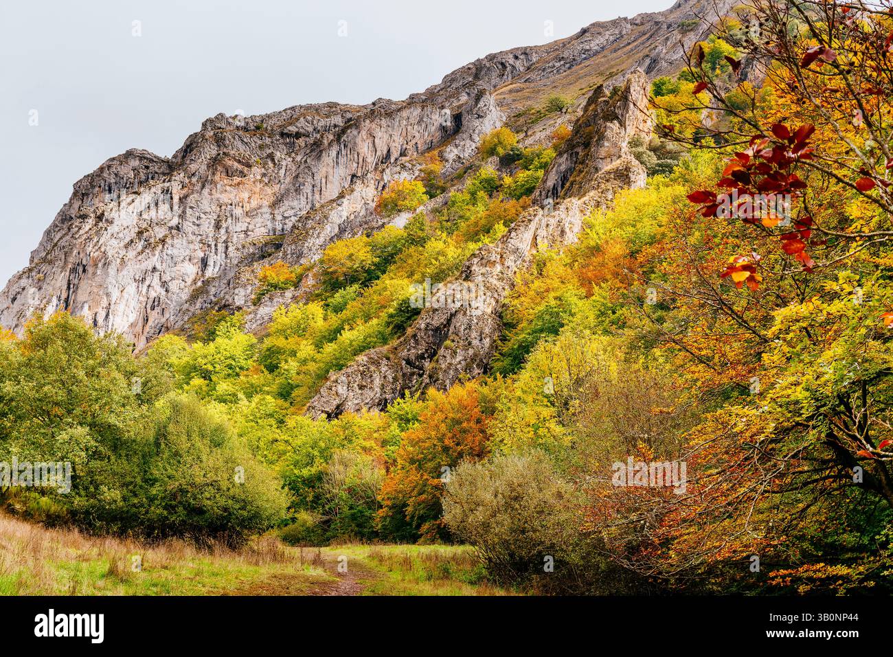 Percorso Faedo de Ciñera. All'inizio dell'autunno. Ciñera, la Pola de Gordón, León, Castilla y León, Spagna, Europa Foto Stock