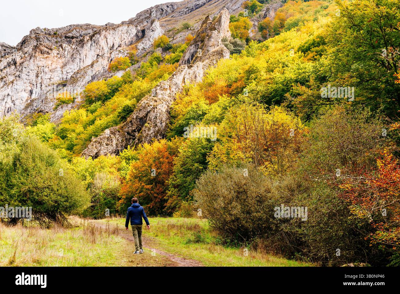 Escursionisti sulla rotta Faedo de Ciñera all'inizio dell'autunno. Ciñera, la Pola de Gordón, León, Castilla y León, Spagna, Europa Foto Stock