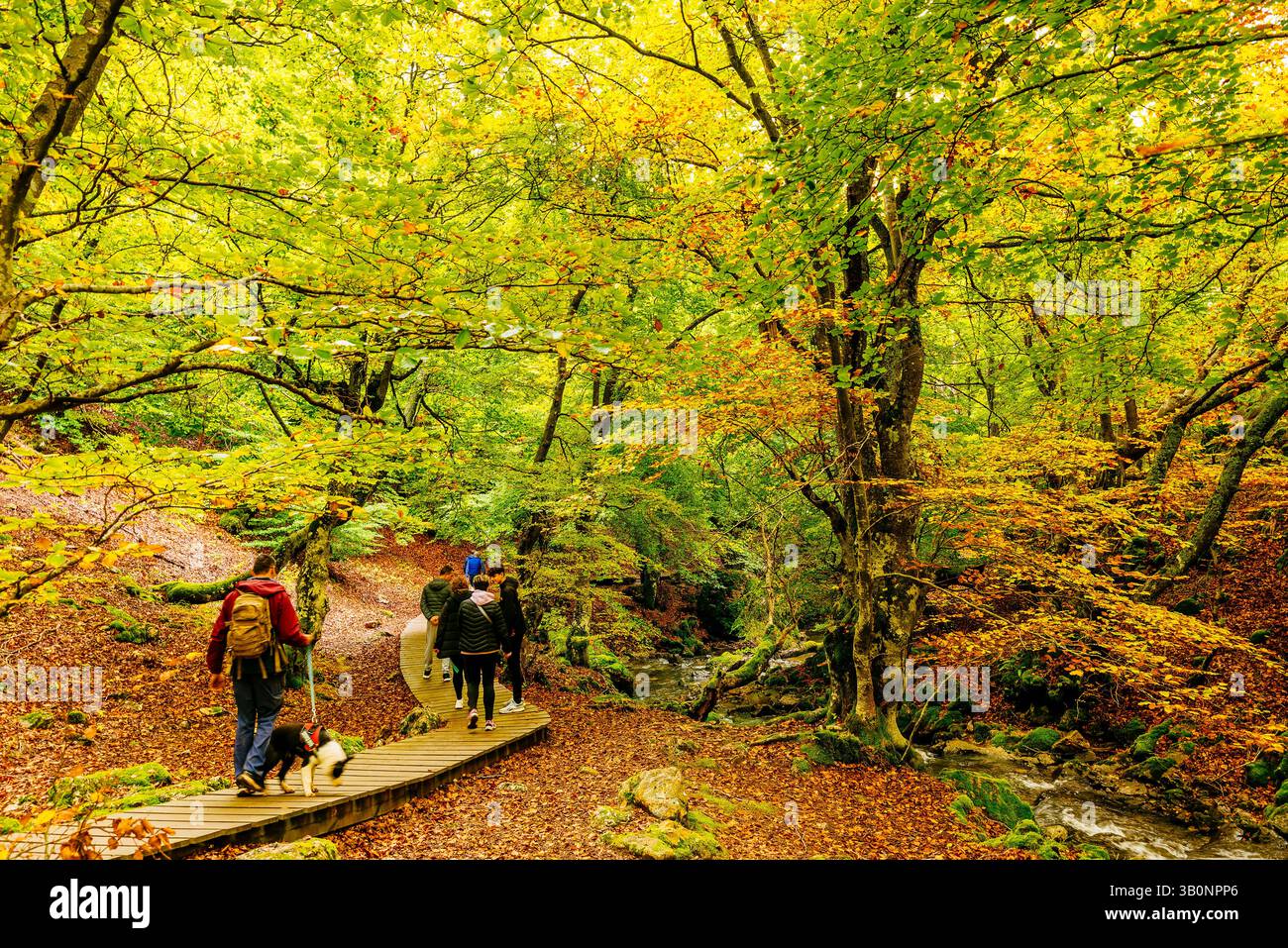 Escursionisti sulla rotta Faedo de Ciñera all'inizio dell'autunno. Ciñera, la Pola de Gordón, León, Castilla y León, Spagna, Europa Foto Stock