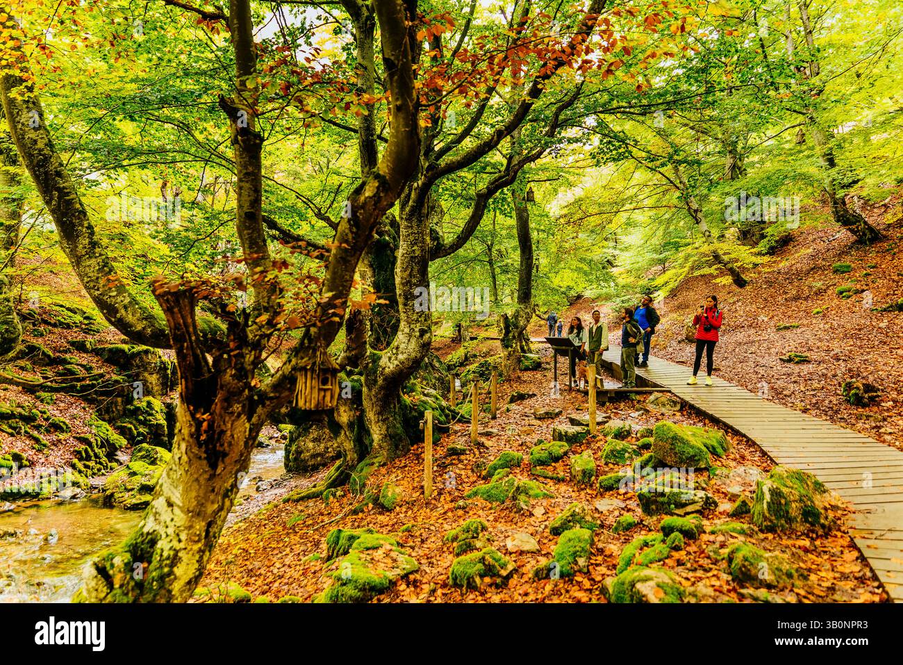 Escursionisti sulla rotta Faedo de Ciñera all'inizio dell'autunno. Ciñera, la Pola de Gordón, León, Castilla y León, Spagna, Europa Foto Stock