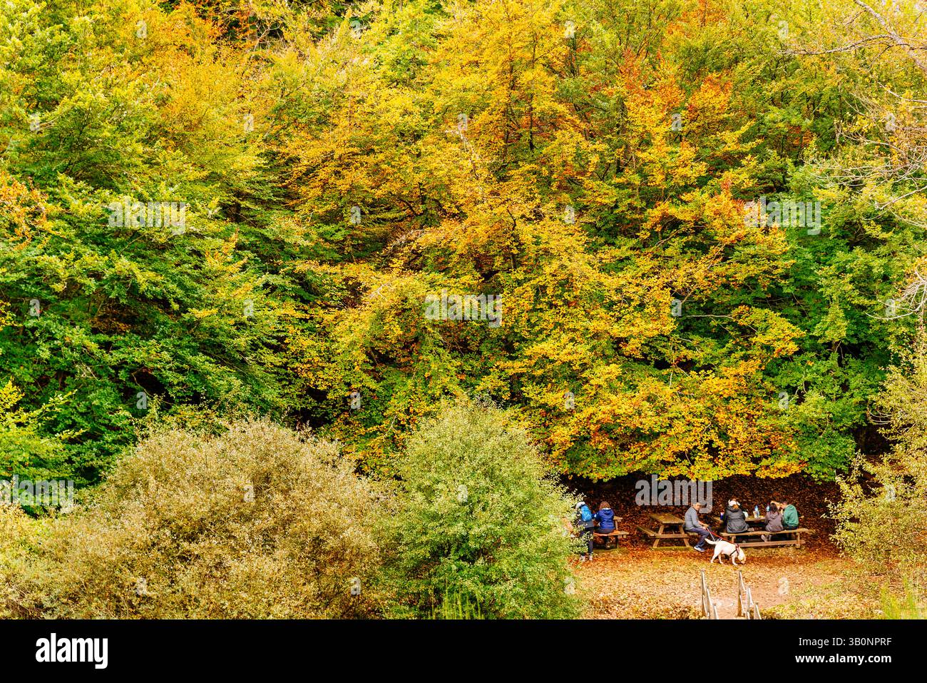 Gli escursionisti riposano. Escursionisti sulla rotta Faedo de Ciñera all'inizio dell'autunno. Ciñera, la Pola de Gordón, León, Castilla y León, Spagna, Europa Foto Stock