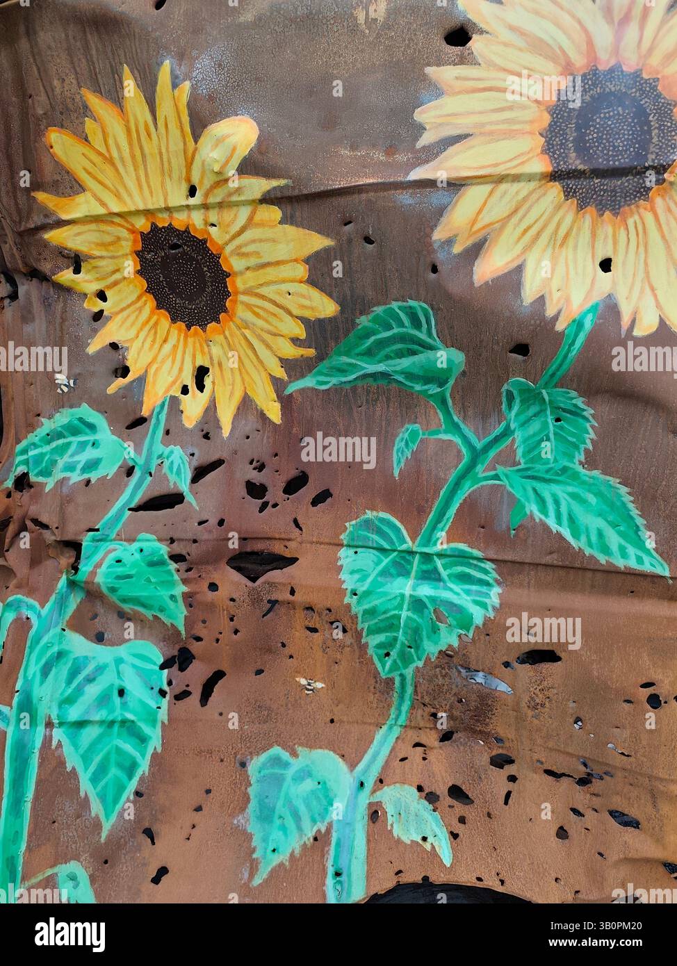 Auto civili bruciate a Irpen come risultato della guerra Foto Stock