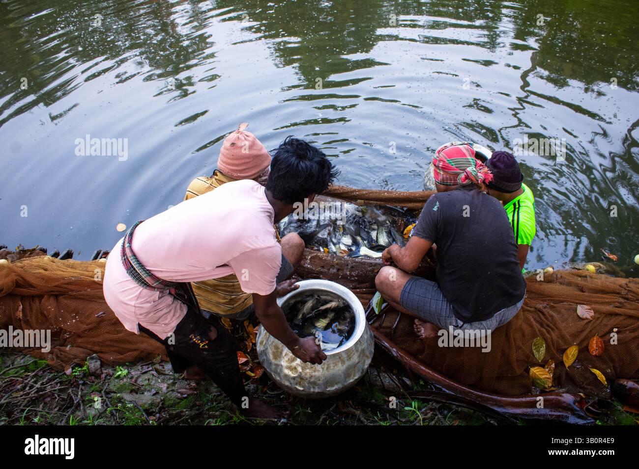 Un gruppo di uomini lavora in collaborazione presso lo stagno, raccogliendo pesce con reti e attrezzi in una giornata di sole. Foto Stock