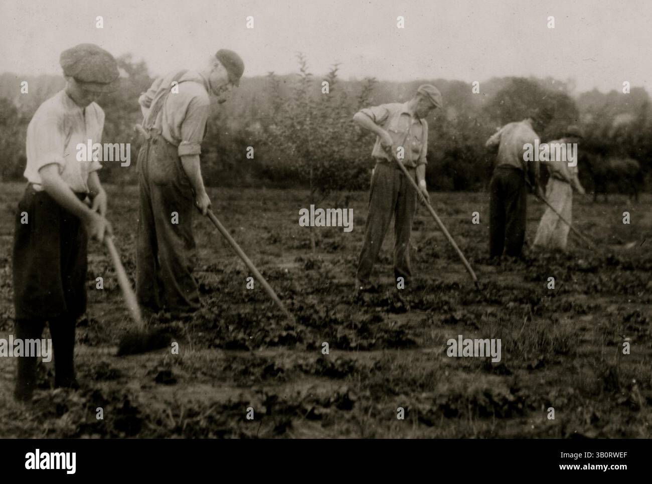 6 giugno 1916 - Bowling Green, KY, Stati Uniti - coltivazione quando non consegna prodotti lattiero-caseari. (Immagine di credito: © BuyEnlarge/ZUMAPRESS.com) Foto Stock