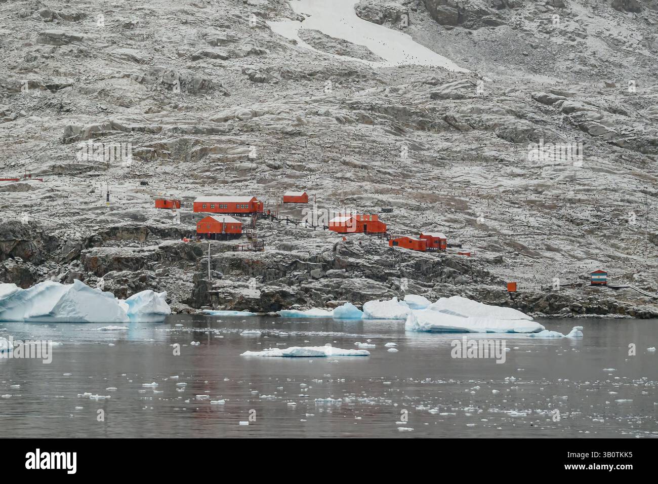 Base Primavera, base argentina e stazione di ricerca scientifica presso Primavera Cove in Antartide. Foto Stock