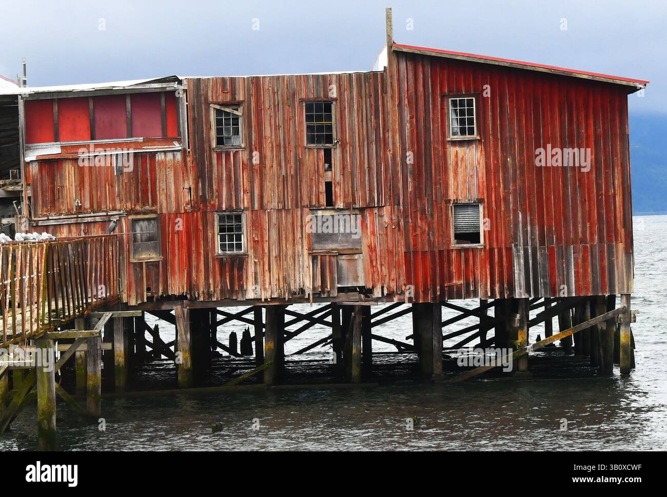 Conosciuto dalla gente del posto come il Big Red Shed, questo storico edificio di cannery risale al 1897. Abbandonato e deteriorato è ancora un punto di riferimento per Astoric, OR Foto Stock