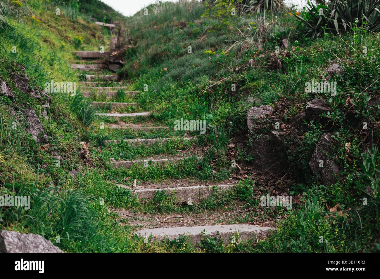 Scalini in pietra salgono su una collina erbosa, circondata da vegetazione lussureggiante e accenni di inizio primavera. Paesaggio naturale. La scala conduce in alto in giardino. Foto Stock