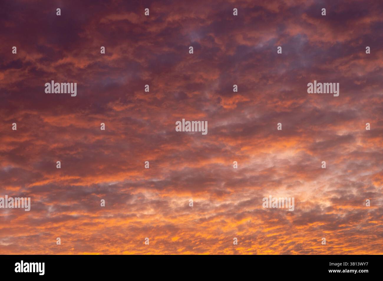 Le nuvole del tramonto, di colore arancione e viola, fanno da sfondo al cielo Foto Stock