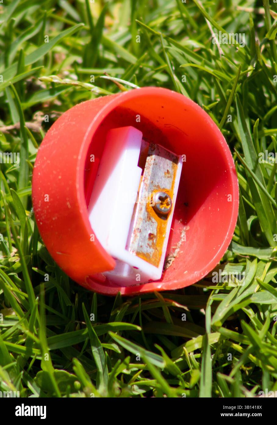 affilatrice a matita circolare rossa seduta sull'erba Foto Stock