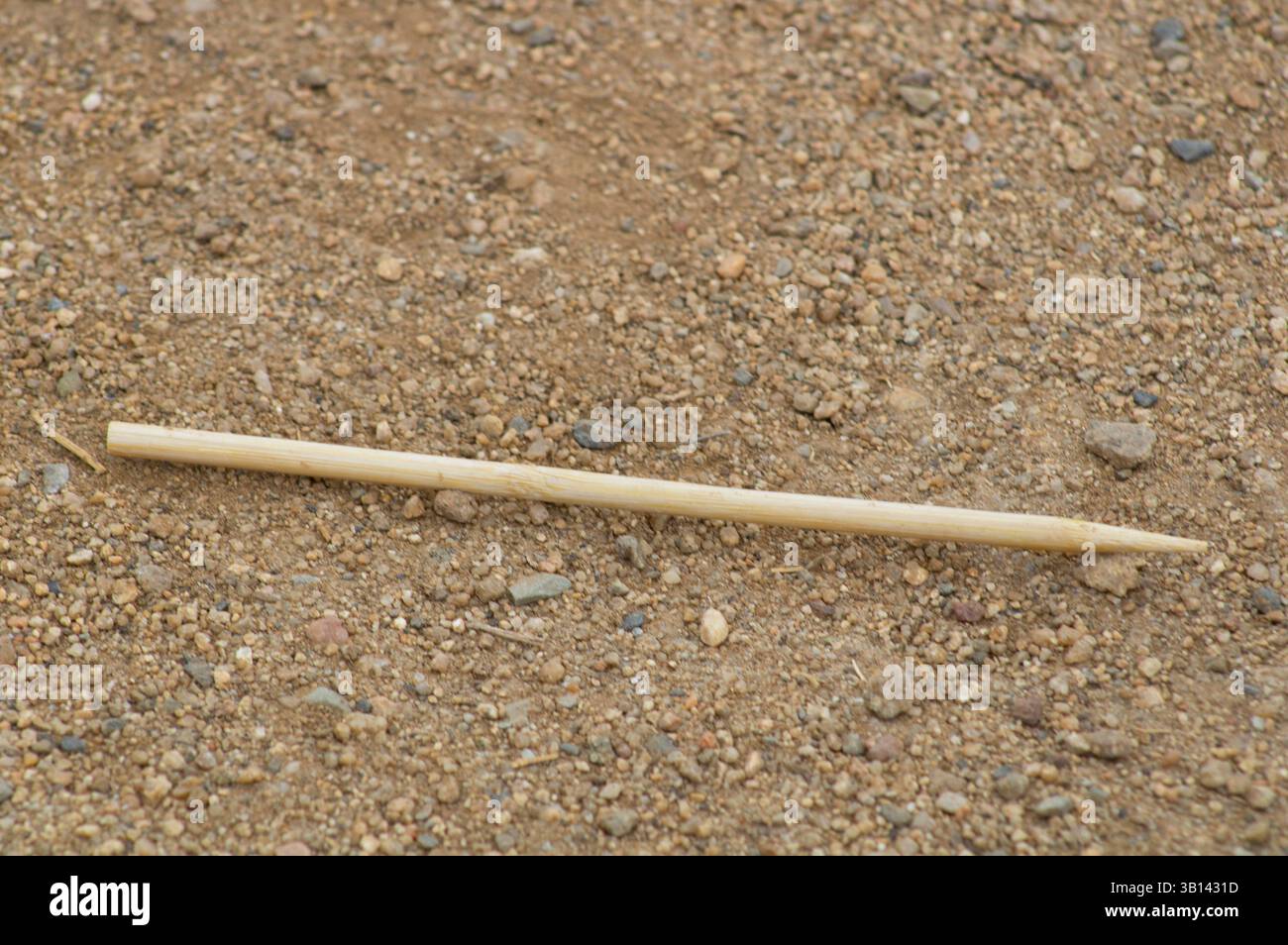 bastoncino di legno appuntito a terra Foto Stock
